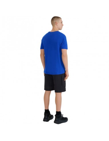 Shorts 4F CAS M527 M 4FWSS25TSHOM527 20S Shorts 4F CAS M527 M 4FWSS25TSHOM527 20S