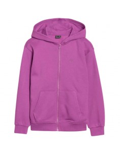 Sweatshirt 4F F1853 Jr...