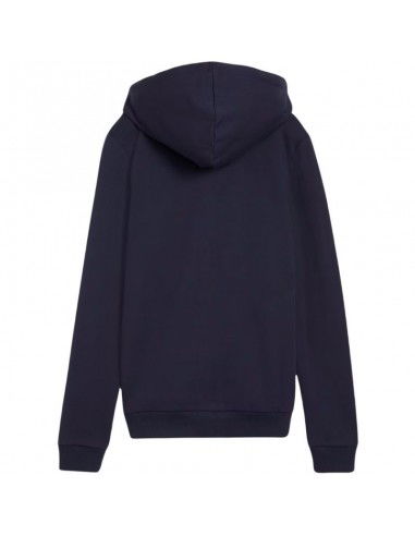 Puma Team Goal Casuals Hooded... Puma Team Goal Casuals Hooded...