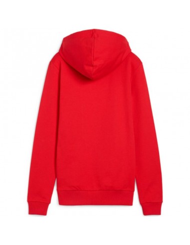 Puma Team Goal Casuals Hoody W 658621 01 Puma Team Goal Casuals Hoody W 658621 01