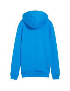 Puma Team Goal Casuals... 2