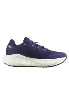 Salomon Aero Glide 3 GRVL...