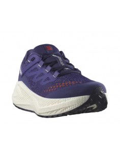 Salomon Aero Glide 3 GRVL... 2
