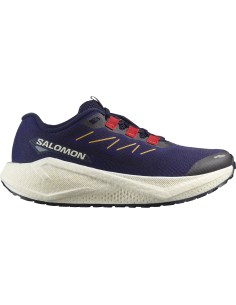 Salomon Aero Blaze 3 Grvl W...