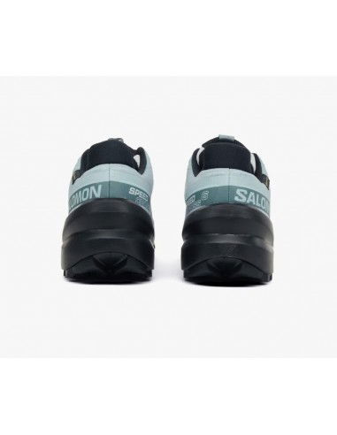 Salomon Speedcross 6 GTX W L47880100 Salomon Speedcross 6 GTX W L47880100