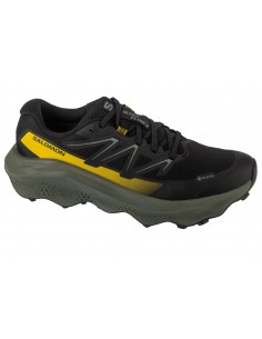 Salomon Ultra Flow 2 GTX...