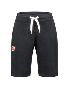 Geographical Norway...
