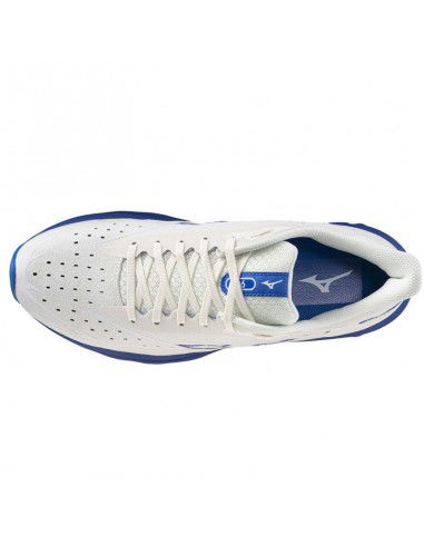 Mizuno WAVE SKYRISE 6 shoes J1GC250954 Mizuno WAVE SKYRISE 6 shoes J1GC250954