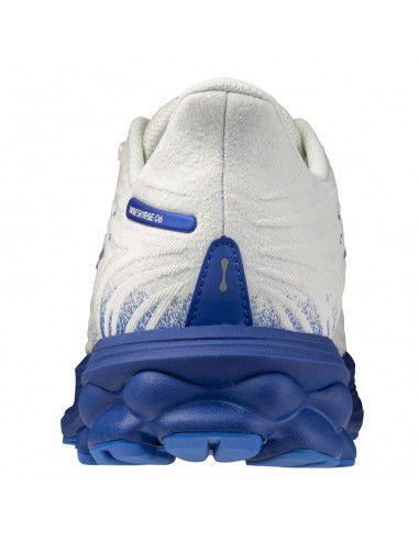 Mizuno WAVE SKYRISE 6 shoes J1GC250954 Mizuno WAVE SKYRISE 6 shoes J1GC250954