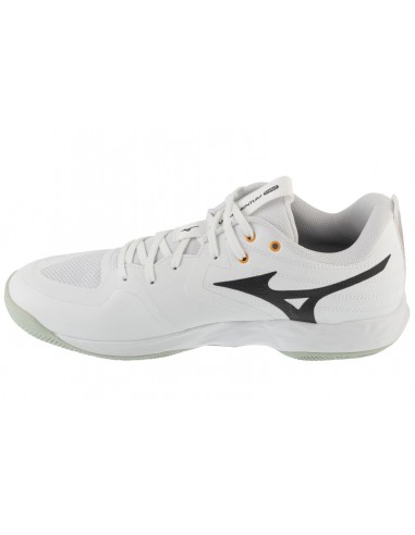 Mizuno Wave Momentum Pro V1GA254021 Mizuno Wave Momentum Pro V1GA254021
