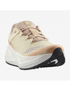 Salomon Aero Glide 3 GRVL W... 2