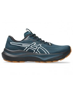 ASICS GT2000 14 TR 1011C129300