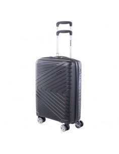 Hard case Iguana Cantabria...