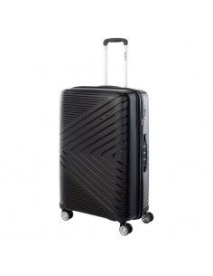 Hard case Iguana Cantabria...