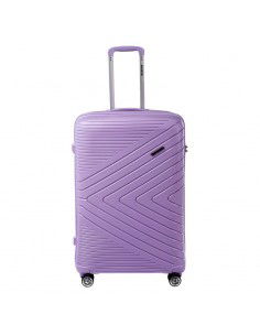 Hard case Iguana Cantabria...
