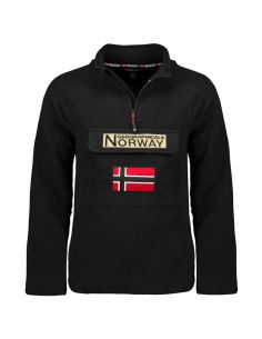 Geographical Norway...