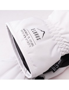 Astia WO'S W insulated gloves 2