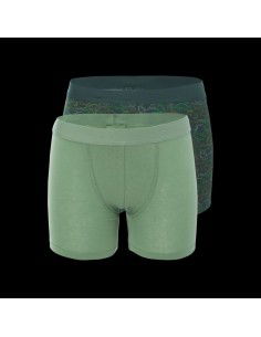 Martes Nico Kdb Jr boxer...