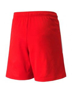 Puma teamLIGA Jr 704931 01... 2