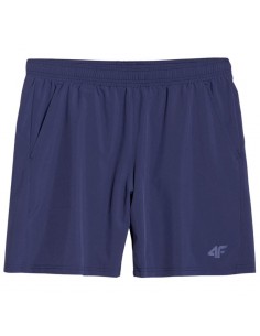 Shorts 4F FNK M...