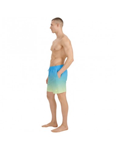 Swim shorts 4F M 4FWSS25UBDSM132 33S Swim shorts 4F M 4FWSS25UBDSM132 33S