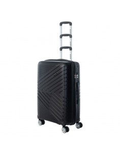 Hard case Iguana Cantabria...