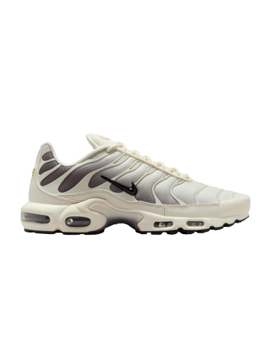 Air Max Plus 'Light Orewood Cave Stone' DM0032106 MBS Air Max Plus 'Light Orewood Cave Stone' DM0032106 MBS