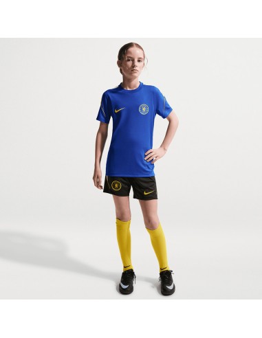 Nike Chelsea FC Strike SS Top II2674452