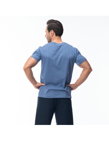 Men's Short Sleeve TShirt OLEN