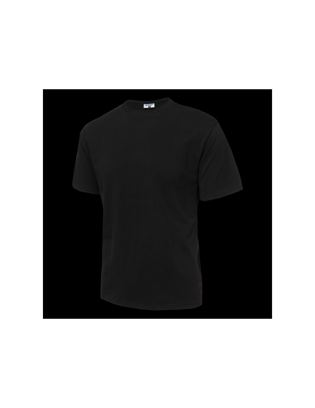 Men's shortsleeved Tshirt FANKY