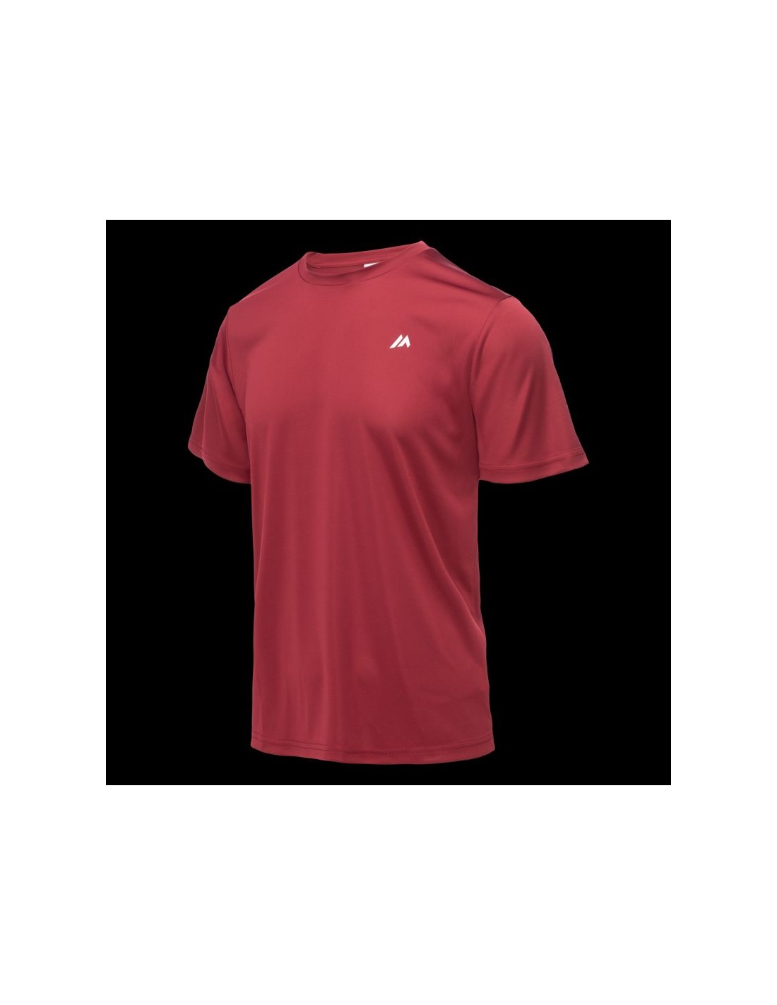 Men's shortsleeved Tshirt SALAN