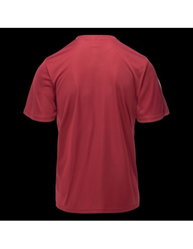 Men's shortsleeved Tshirt SALAN