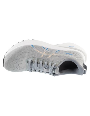 ASICS GT2000 13 1012B666022