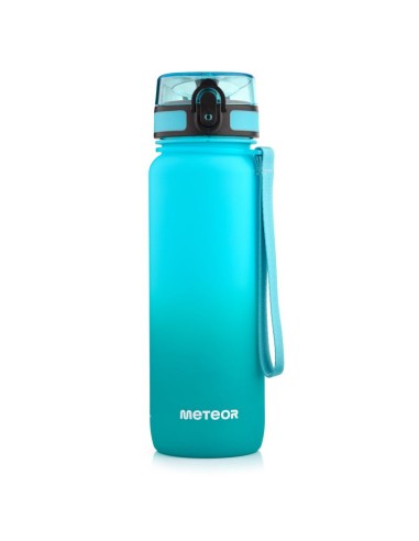 Meteor Bottle 800 ml 17661 GreenBlue
