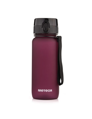 Meteor Bottle 650 ml 17660 Burgundy