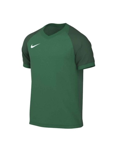 Nike DriFIT Trophy VI HV8151302 TShirt