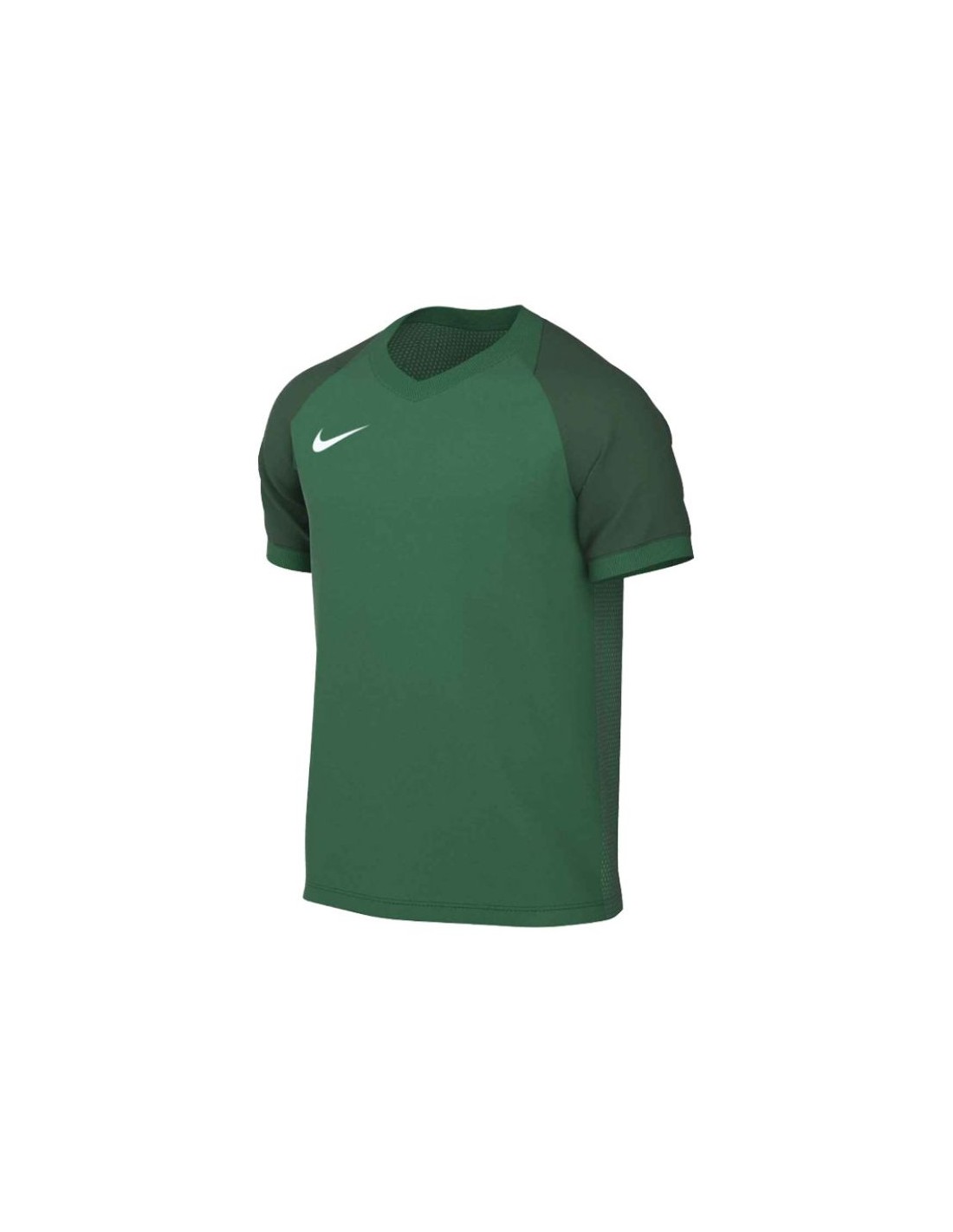 Nike DriFIT Trophy VI HV8151302 TShirt