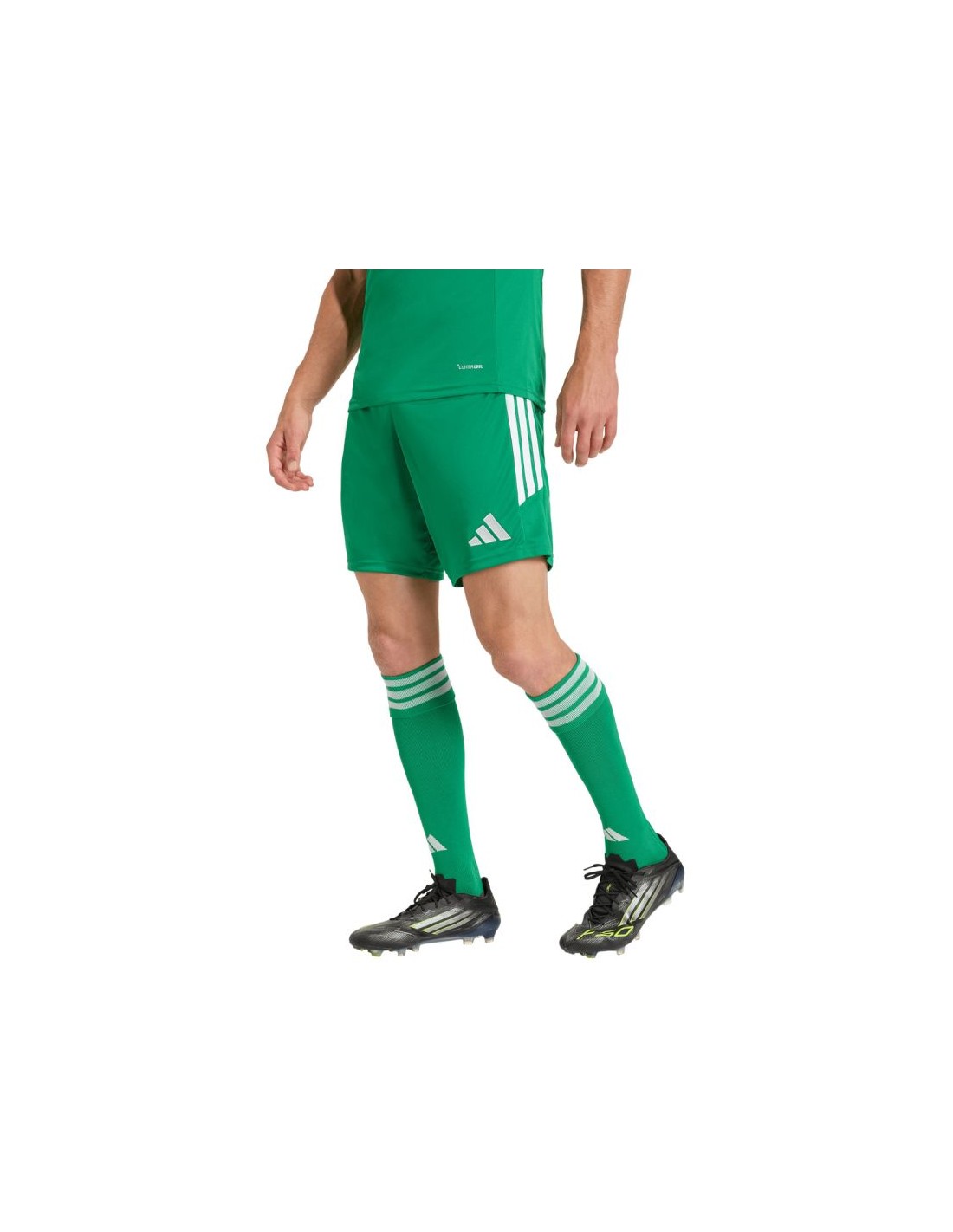 adidas performance - ΣΗΜΑΝΤΙΚΟ: Σε περίπτωση διαφοράς τιμής από το κατάστημα ισχύει παντα και μόνο η τιμή του καταστήματος Men's adidas Tiro 26 League Shorts Green KA8774
