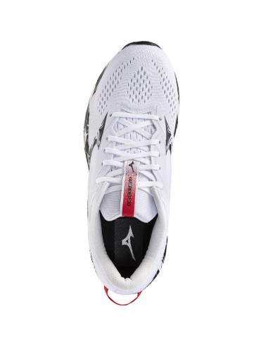 Mizuno WAVE RIDER 30 Disclosure shoes J1GU262381