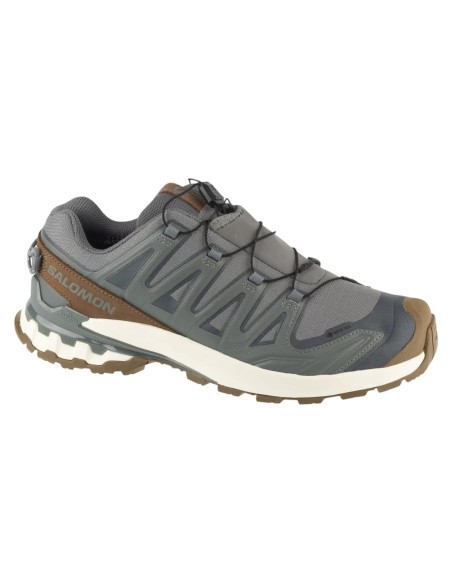 Salomon XA Pro 3D v9 GTX Lifelong L49296100