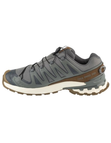 Salomon XA Pro 3D v9 GTX Lifelong L49296100