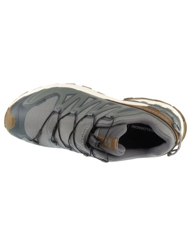 Salomon XA Pro 3D v9 GTX Lifelong L49296100