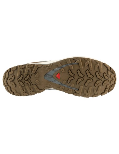 Salomon XA Pro 3D v9 GTX Lifelong L49296100