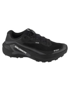 Salomon Genesis 2 GTX L49300300