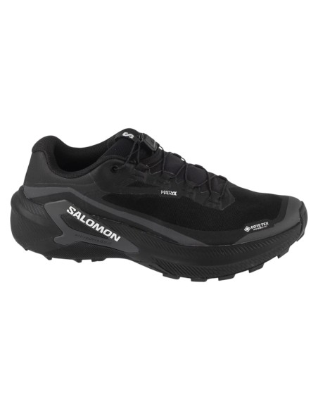 Salomon Genesis 2 GTX L49300300