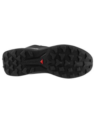 Salomon Genesis 2 GTX L49300300