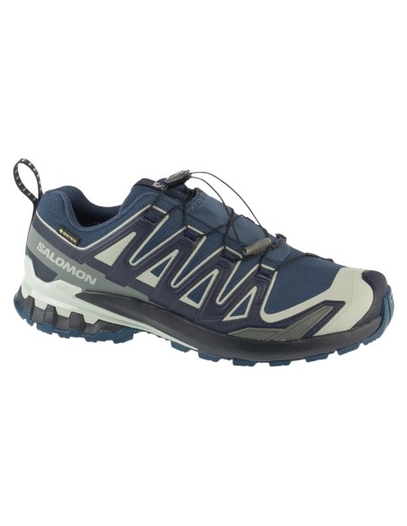 Salomon XA Pro 3D v9 GTX L49199200