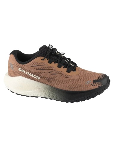 Salomon Aero Blaze 4 Grvl L45400500