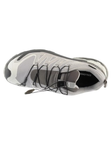 Salomon XA Pro 3D v9 GTX W L45412000