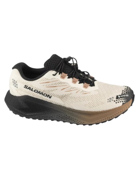 Salomon Aero Blaze 4 Grvl GTX L45403200